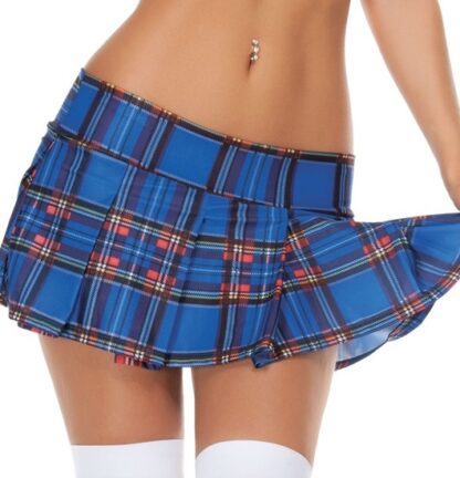 School Girl Checkered Plaid Skirt Blue Front Angle