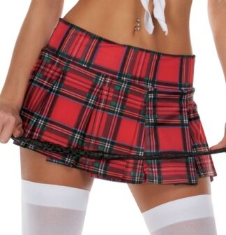School Girl Checkered Plaid Skirt Red Front Angle