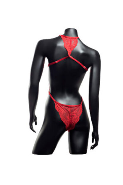 Monica Lace Teddy - Red Back