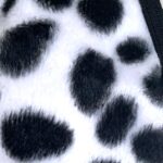 Dalmatian with Faux Fur