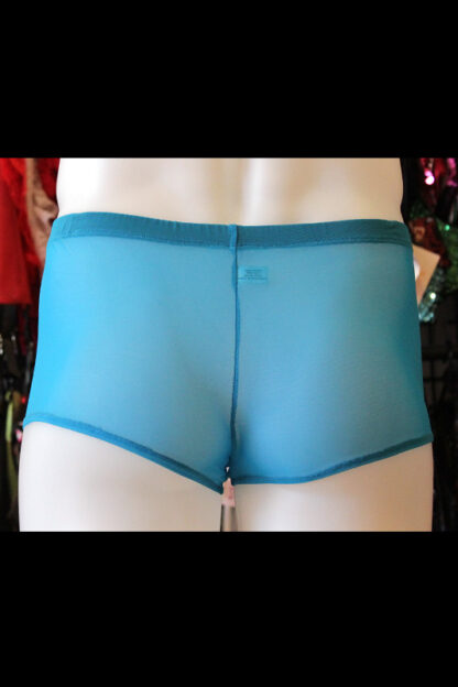 Siren Doll Men's Sheer Shorts - Turquoise Back